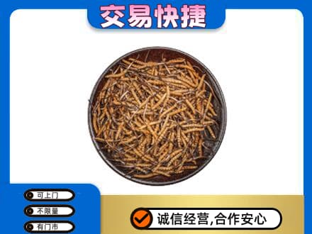 沂南县回收散虫草